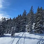 Alpinresort 2 By Interhome