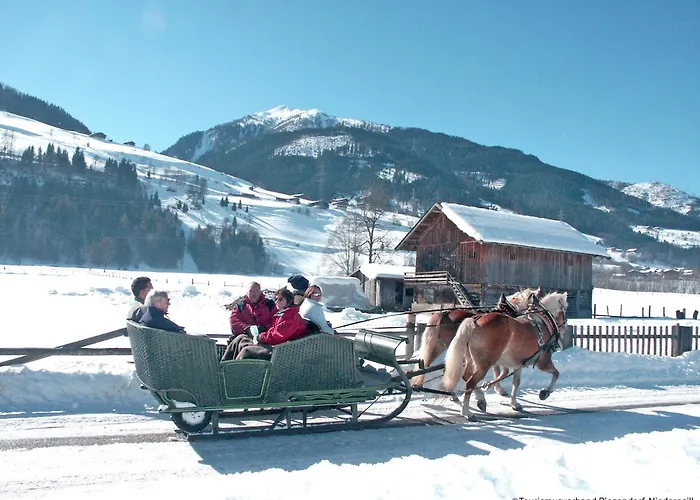 Appartamento Alpinresort 2 By Interhome Kaprun